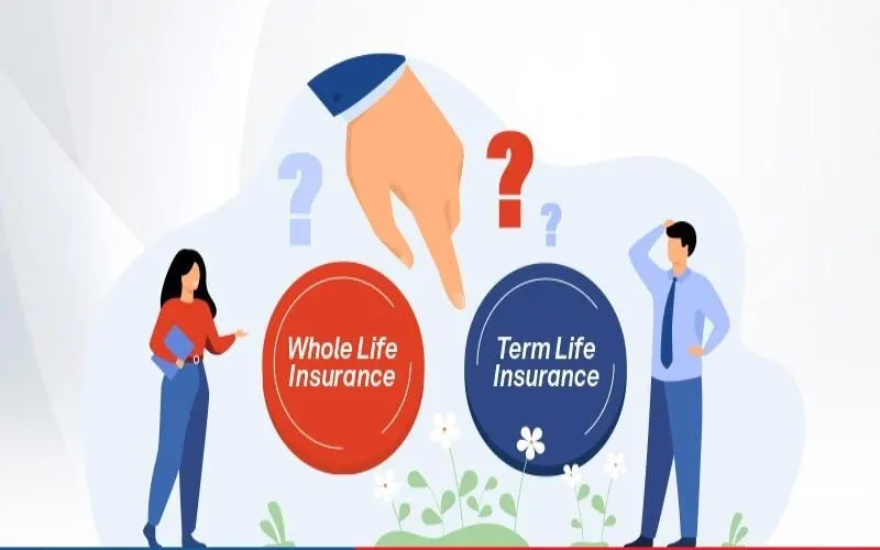 Difference Between Term Life Insurance and Whole Life Insurance